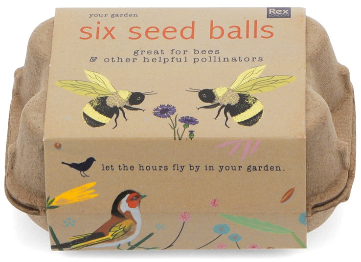Box of six seed balls with pictures of bees, birds and flowers on the egg-style box