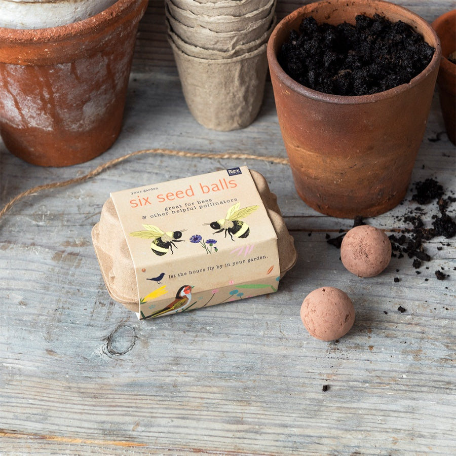 box of 6 seed balls on a garden potting shelf next to 2 seed balls and garden pots ready for planting
