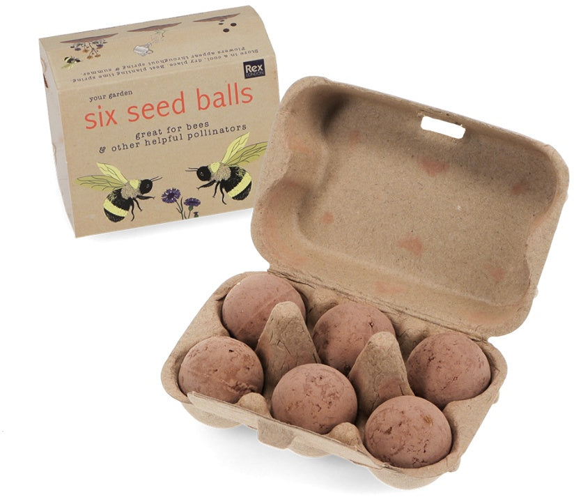  image shows a seed box open showing the 6 seed balls next to the box cover