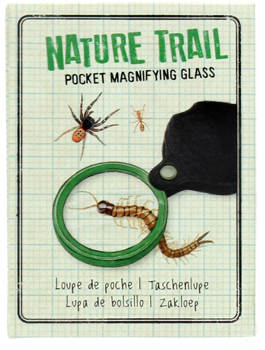 Pocket Magnifying Glass over a bug enlarging the bug.